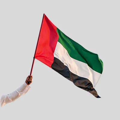 Pole flag uae